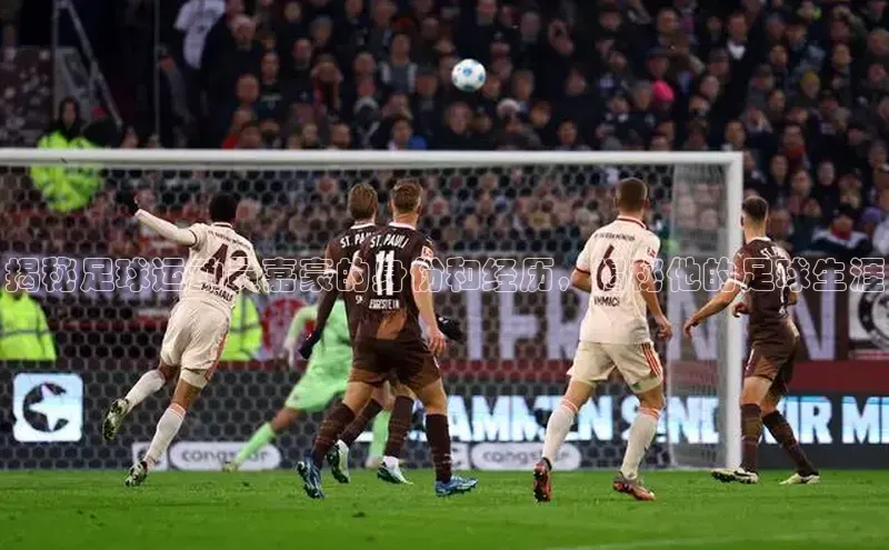 球速体育网页版登录入口百度技术学院揭秘足球运动员嘉豪的身份和经历，揭秘他的足球生涯