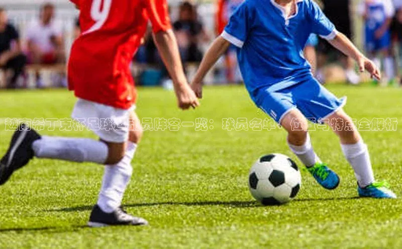 球速体育app百度网盘企业版越南希丁克杯足球运动员阵容一览：球员名单、位置与特点全解析