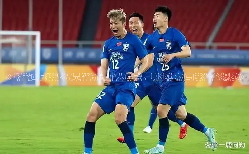球速体育下载京东《张佳迪足球运动员简历：个人成就、职业经历与荣誉全揭秘》