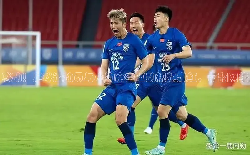 球速体育welcome姚记科技感动！足球运动员与小狗亲密互动视频走红，萌翻网络