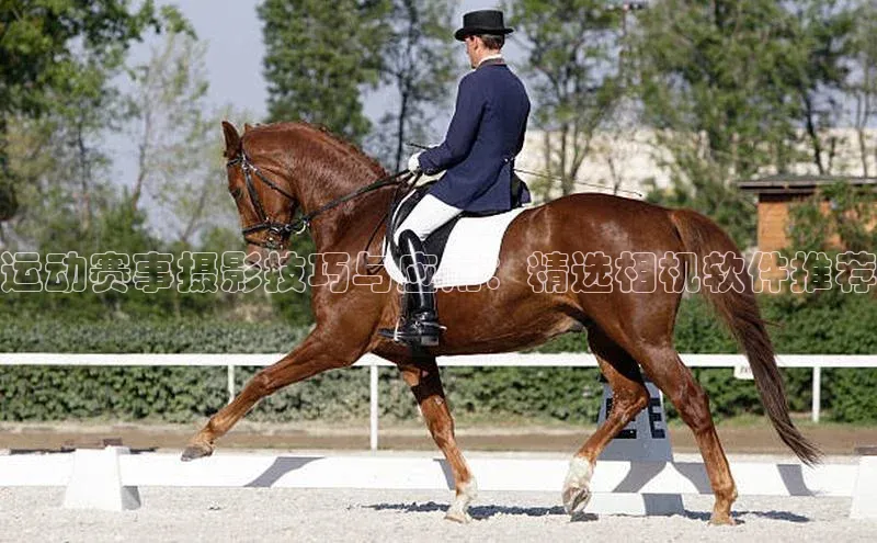 运动赛事摄影技巧与应用：精选相机软件推荐