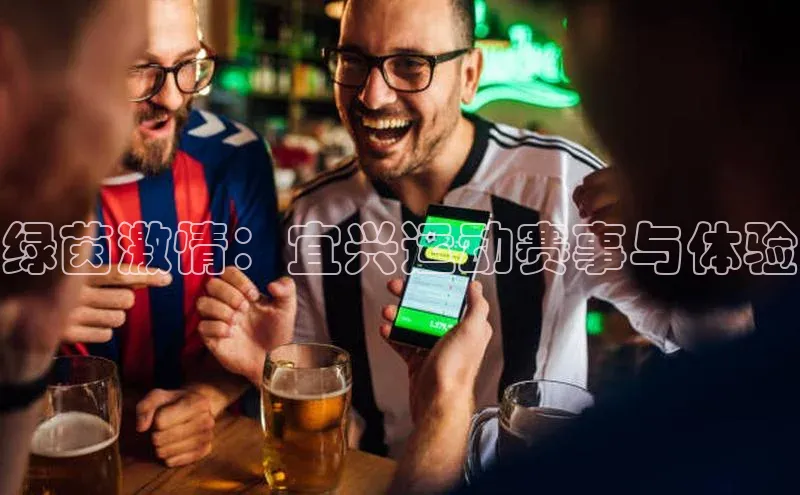 绿茵激情：宜兴运动赛事与体验