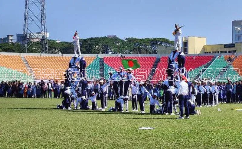 保时捷赛车运动：速度与激情的极限世界