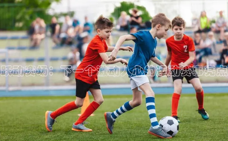 跃动赛场：下一个激动人心的运动赛事亮点