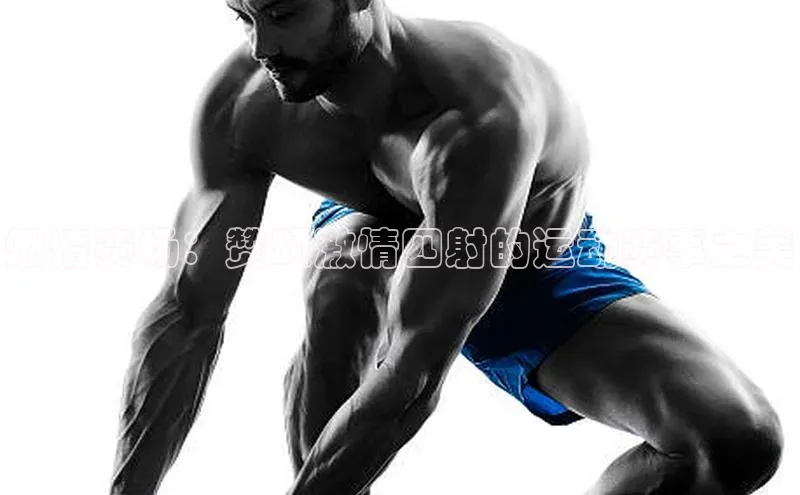 燃情赛场：赞颂激情四射的运动赛事之美