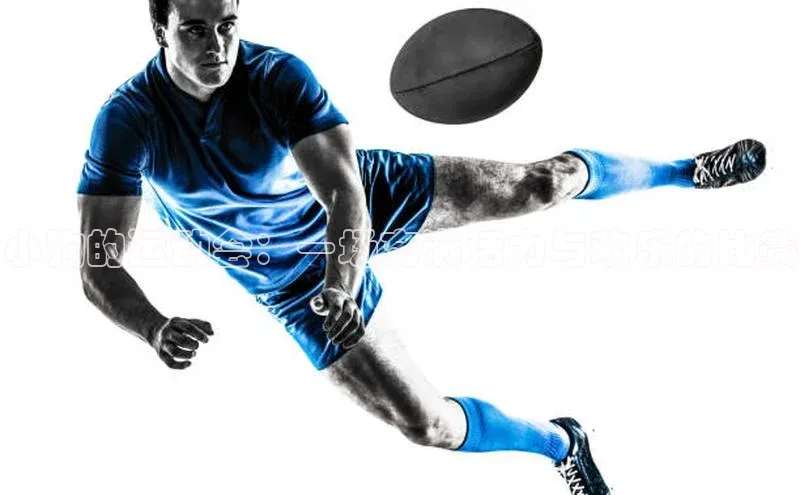 小狗的运动会：一场充满活力与欢乐的比赛