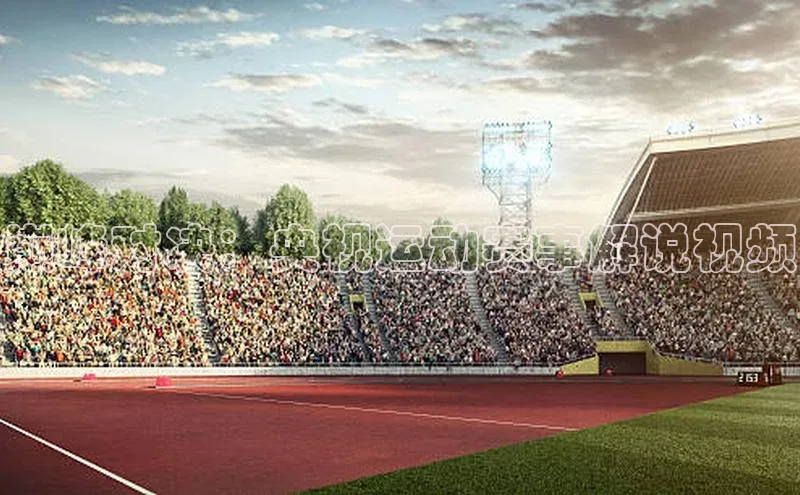 巅峰对决：央视运动赛事解说视频