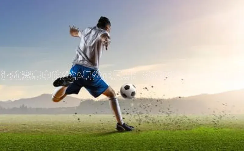 运动赛事中的公平与公正原则：构建平等竞争的竞技场