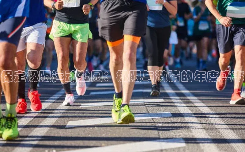 保定极限运动公园：极限与激情的年度盛事