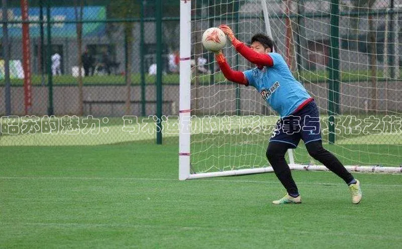 昭苏的魅力：马术运动的精彩赛事与文化之旅