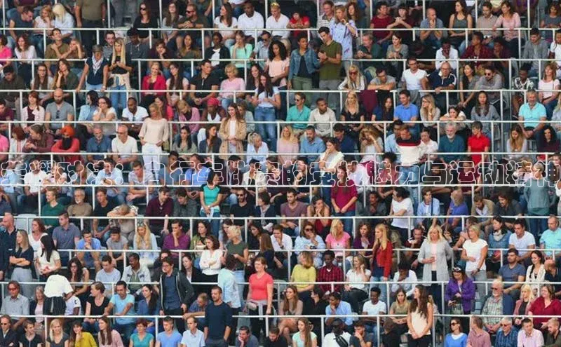 速球app下载入口