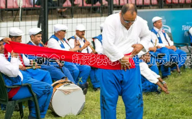 球速体育app官网入口