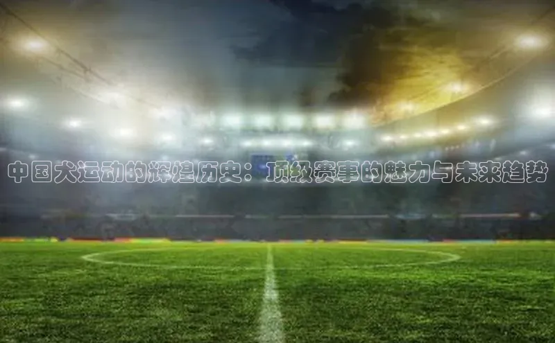 中国犬运动的辉煌历史：顶级赛事的魅力与未来趋势