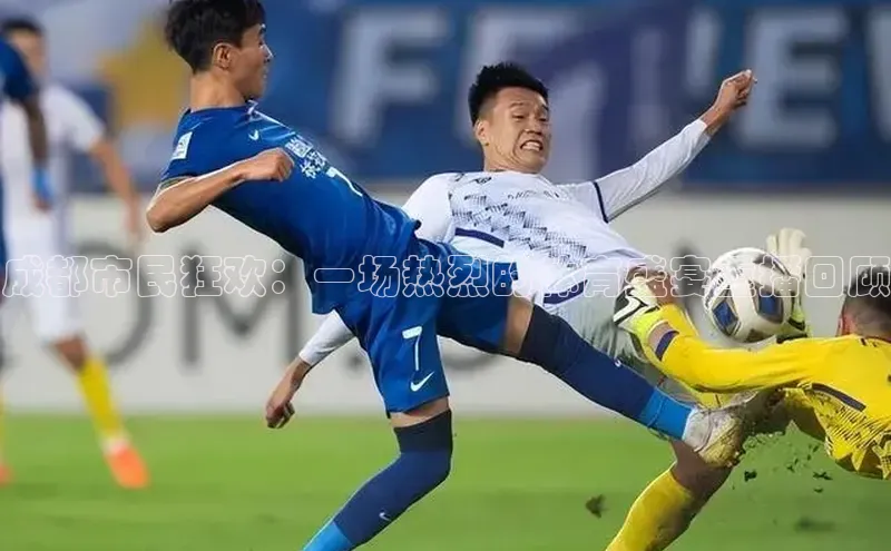 成都市民狂欢：一场热烈的体育盛宴重播回顾