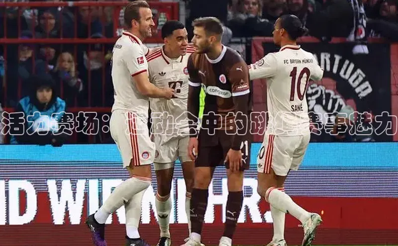 活力赛场：运动会中的跳绳赛事魅力