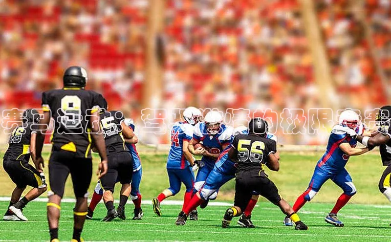 赛马运动：驾驭激情的极限竞赛