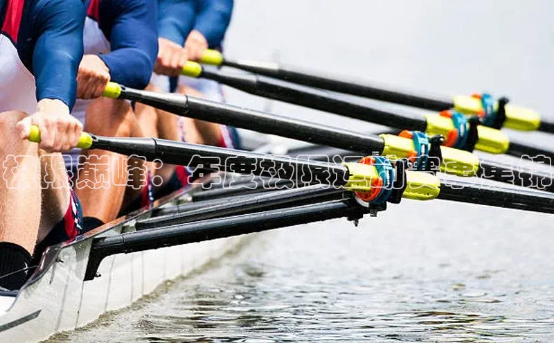 球速app官网登录入口